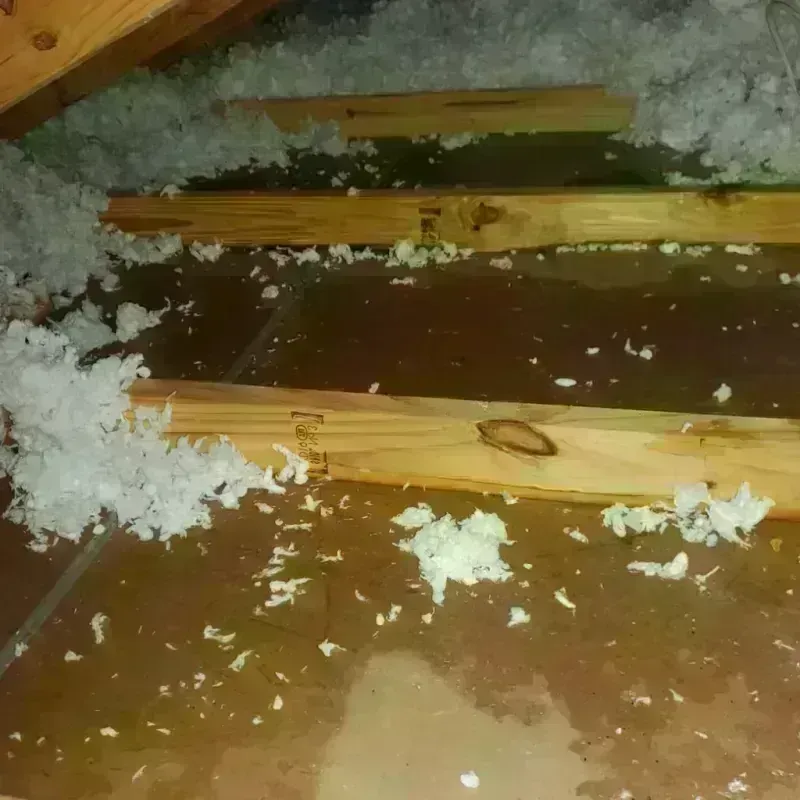 Attic Water Damage in Iowa Falls, IA