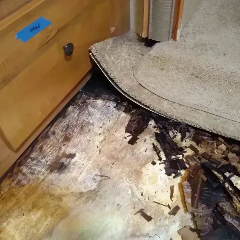 Best Wood Floor Water Damage Service in Iowa Falls, IA